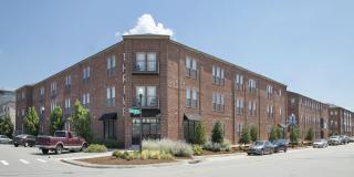 Thrive Argenta Gallery 2