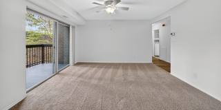 The Forest Apartments Gallery 7