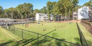 Nu Six Forks Gallery 43