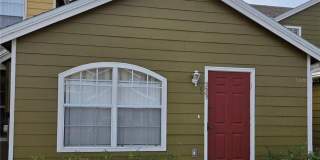 223 WASHINGTON PALM LOOP Gallery 1