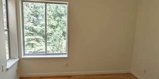 Recently Updated Pinebrook Home Recently Updated Pinebrook Home Gallery 13