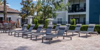 Verano Gallery 10