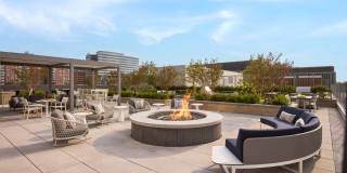 Skymark Reston Town Center Gallery 2