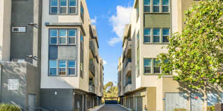 Ascent at Campus of Life Gallery 65