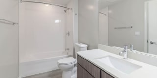 The Dalton Gallery 23