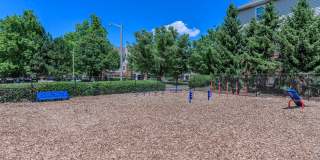 Ridgeleigh at Van Dorn Gallery 15