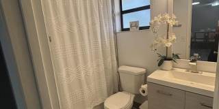 3751 COCOPLUM Circle Gallery 16