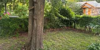 2 Bedroom, 1 Bathroom Home w/ Fenced-In Backyard and Covered Front Porch in Downtown Springdale Gallery 15