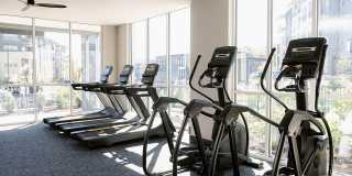 Livano Nations Gallery 38