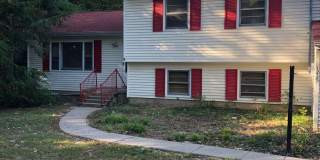 Newly renovated 4BR/2BA home, across from IU Stadium and Golf Course! Gallery 3