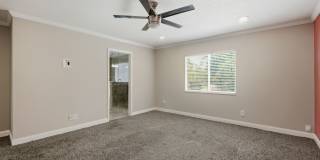 Gorgeous 4-Bedroom Single-Family Home with Pool in Summerfield Gallery 15