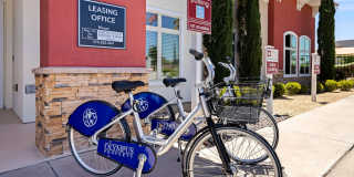 Sonoma Palms Gallery 30