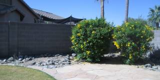 3771 E THUNDERHEART Trail 3771 E THUNDERHEART Trail Gallery 25