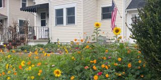 3 Bedroom, 2 Bathroom House for Rent Gallery 1