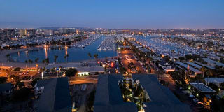 Marina 41 Gallery 51