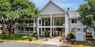 Victoria Place Gallery 13