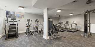 Green Trails Gallery 44