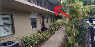 1020 Pinetree Drive Gallery 31