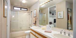 28914 Desert Princess Drive Gallery 17