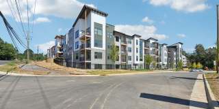 Frazier at Mallard Creek Gallery 1