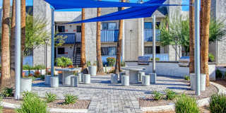 The Coronado (Palms on Monte Vista) Gallery 23