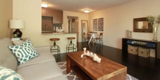 The Collection Lady Bird Lake Gallery 1