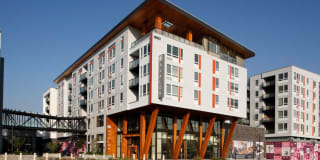 Avalon Alderwood Place Gallery 37