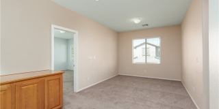 8277 Brilliant Pompon Place Gallery 13