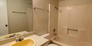 3 bed/ 2 bath available in Brushy Creek Village! Gallery 24