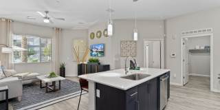 Axis Camelback Gallery 5