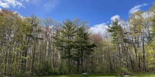 379 Huse Road Gallery 43