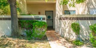 28859 Desert Princess Drive Gallery 2