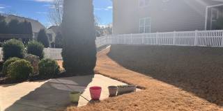 151 Blossom Ridge Drive Gallery 8
