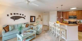 River House Apartments Gallery 33