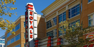 3350 at Alterra Gallery 7