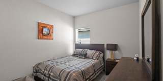 5418 Cicada Gallery 14