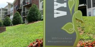 Vyne On Central Gallery 1