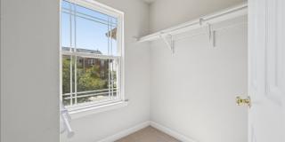Premium Property in Mt Airy. Grab it while it's HOT Premium Property in Mt Airy. Grab it while it's HOT Gallery 23