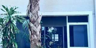 8239 Pacific Beach Drive Gallery 30