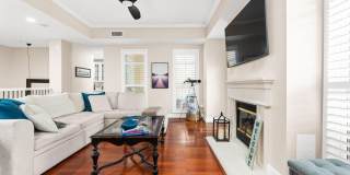 Waterfront Gallery 25