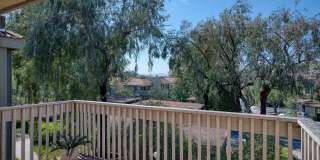 254 Sequoia Court Gallery 29