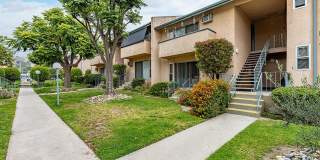 Olive View Gardens Gallery 15