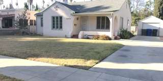 WOOD STREET BEAUTY!!! Gallery 1