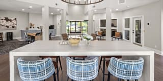 The Magnolia Apartments Gallery 7