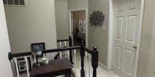 411 Lundy Court Gallery 9