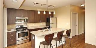 The Elysian Gallery 678