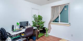 Darling 3 Bed 1 Bath Home Gallery 11