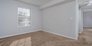 Steeplechase Gallery 7