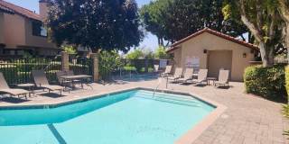 5151 Walnut Gallery 26