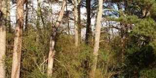 260-B Handley Court Gallery 6